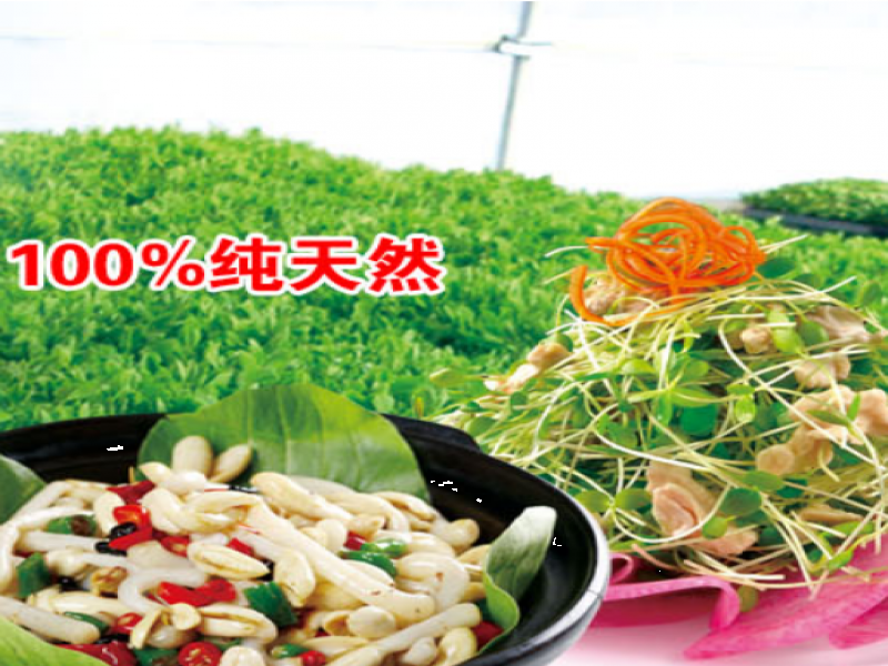 愛心農(nóng)場(chǎng)芽苗菜