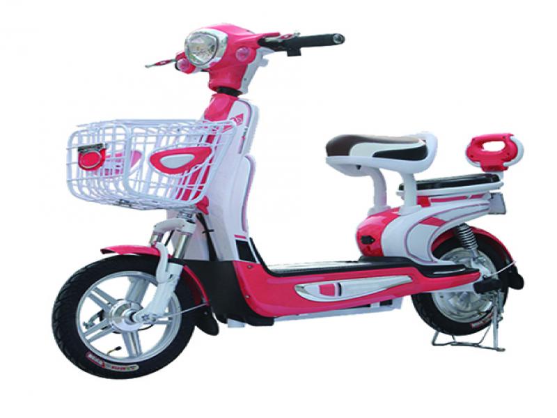 飄洋電動車