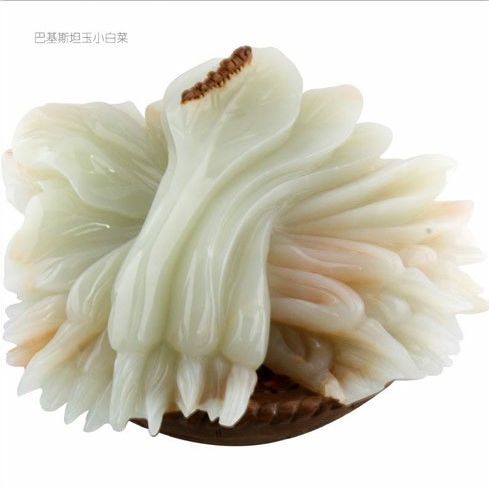鉑晶爾曼巴基斯坦玉小白菜